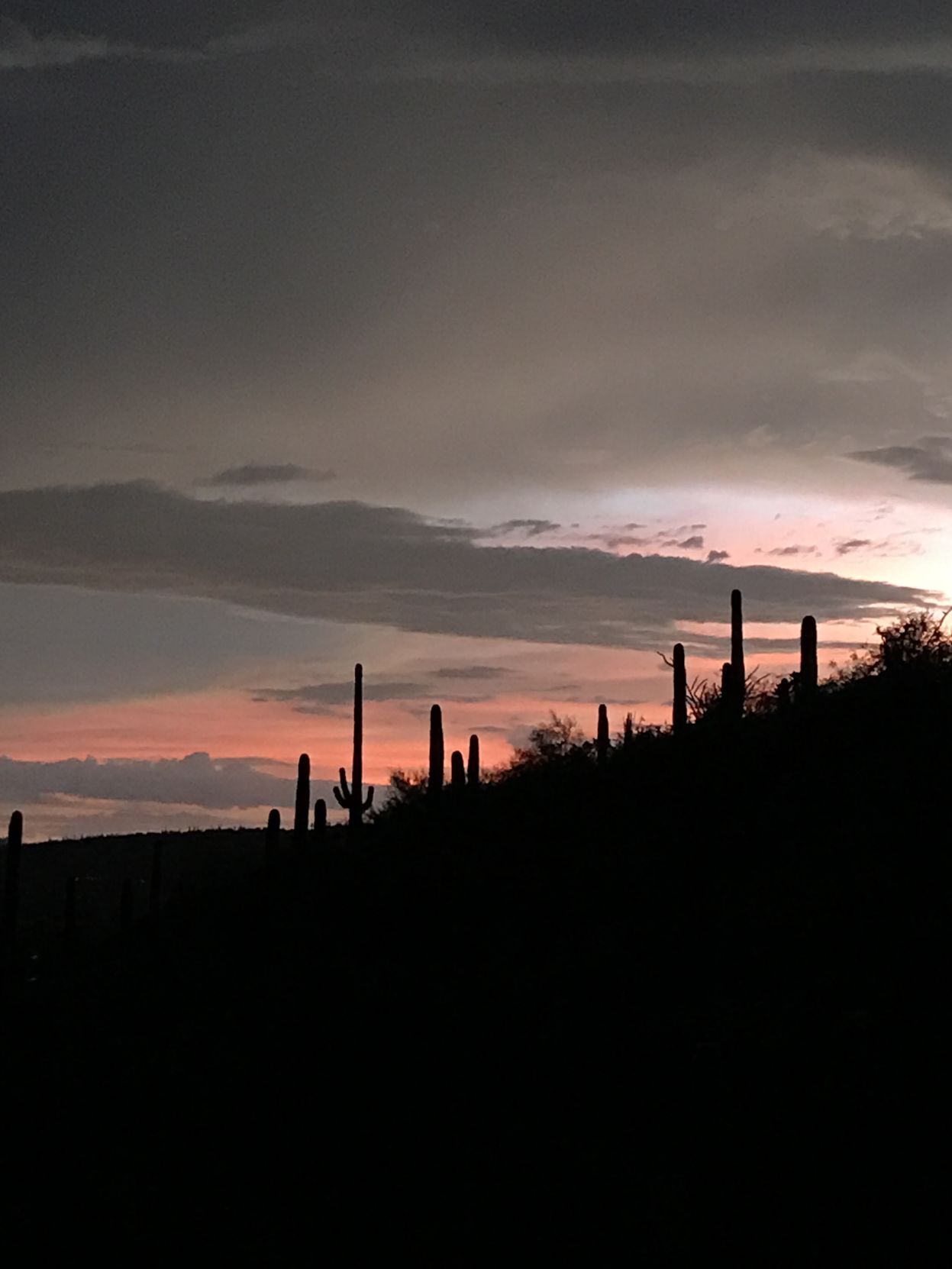 The calm after the storm